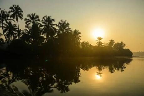 enjoy the scenic beauty