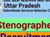 UPSSSC Recruitment 2023 Stenographer Online Form