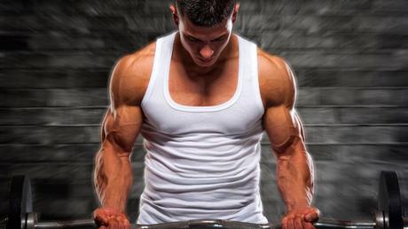 TRAINING SPLITS: A GUIDE TO DIVIDING YOUR WORKOUTS FOR MAXIMUM GAINS TRAINING SPLITS: A GUIDE TO DIVIDING YOUR WORKOUTS FOR MAXIMUM GAINS