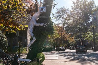 Super AGI on the loose in Hoboken, NJ