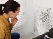 What Notice Mold Your Home