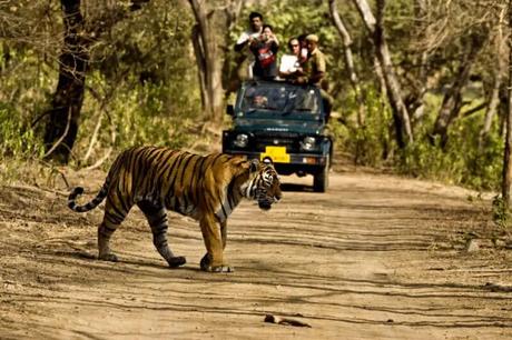 19 Most Beautiful Places To Visit In Uttarakhand In Winter 2022 Bring on the adventure at Jim Corbett