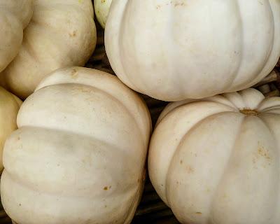 Something simple, easy to understand