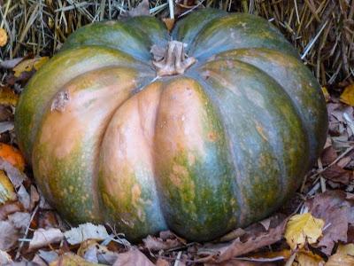 Something simple, easy to understand