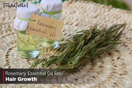 Rosemary Essential Oil For Hair Growth