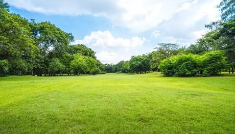 The park has a beautiful view of lush greenery and partly cloudy blue sky- a perfect place to enjoy the peace