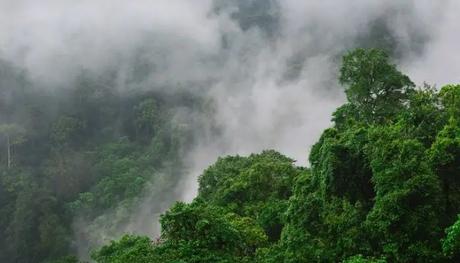 Lush greenery is one of the best places to visit near Barasat.