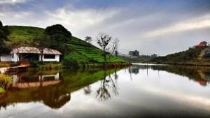 surroundings of hills and greenery