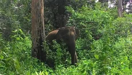 14 Scenic Places In Vagamon Tourists You Must Visit In 2023 For A Happy Trip!