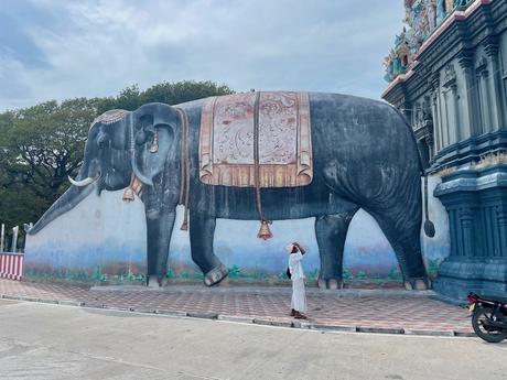 How To Visit Nainativu Island (Nagadeepa Island): A Truly Offbeat Adventure (2023) large-mural-of-an-elephant-at-Nagapooshani-Amman-Kovil