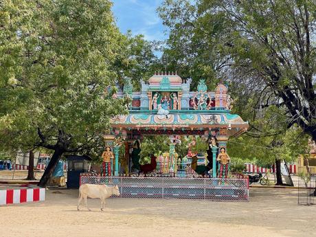 How To Visit Nainativu Island (Nagadeepa Island): A Truly Offbeat Adventure (2023) Nagapooshani-Amman-temple-with-a-cow