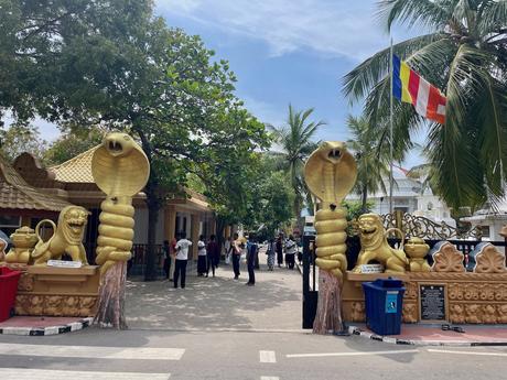 How To Visit Nainativu Island (Nagadeepa Island): A Truly Offbeat Adventure (2023) nainativu-snake-statues