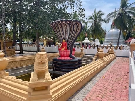 How To Visit Nainativu Island (Nagadeepa Island): A Truly Offbeat Adventure (2023) multi-headed-snake-statues-on-nainativu