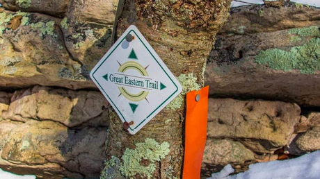 The Trail ahead: Hiking Trends in 2024