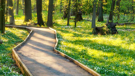 The Trail ahead: Hiking Trends in 2024