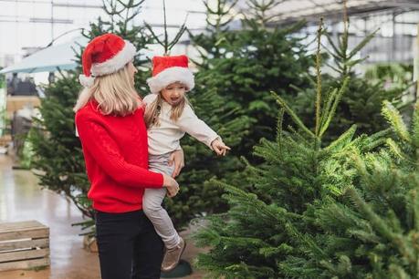 Mother and daughter choosing a Christmas tree at a market