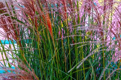From Pier 13, Hoboken