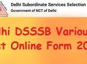Delhi DSSSB 03/2023 Various Post Online Form 2023 Recruitment