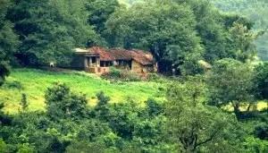 Located in Andhra Pradesh, Araku Valley is a paradise for travellers who love nature.