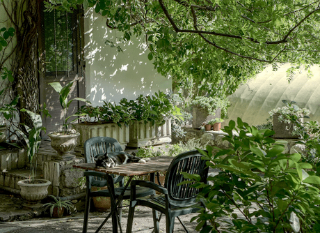 4 Tips for Creating a Beautiful Garden Landscape