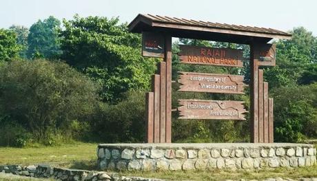 Rajaji National Park is one of the exciting places to visit in Haridwar and Rishikesh in two days trip