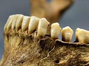 What Teeth Reveal About Nutrition Migration