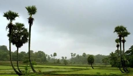 35 Appealing Destinations To Explore In India In March 2023 green field with palm trees