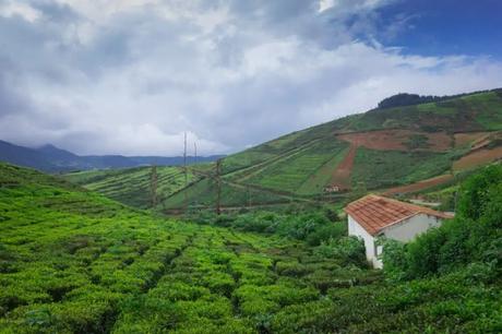 35 Appealing Destinations To Explore In India In March 2023 a house amid the tea plantations