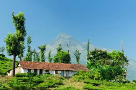 35 Appealing Destinations To Explore In India In March 2023 a traditional style house in lush valleys of Wayanad