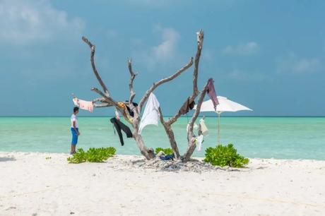 35 Appealing Destinations To Explore In India In March 2023 a man standing on a beautiful clean beach with a parched tree