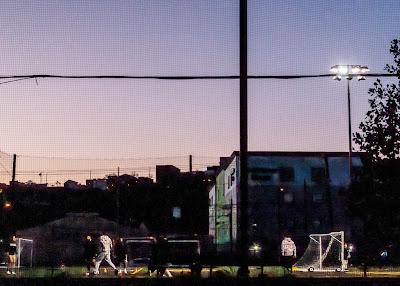 Friday Fotos: A Variety Pack