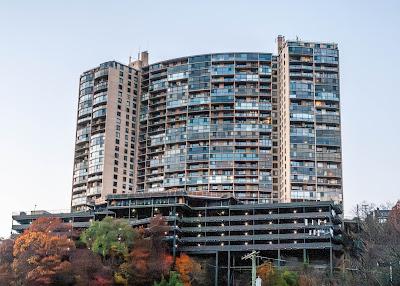 Friday Fotos: A Variety Pack