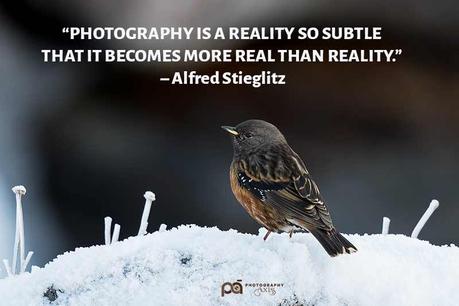Nature photography with caption