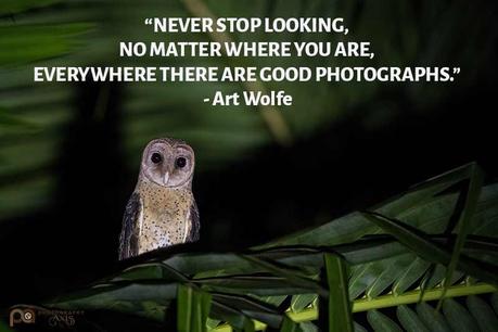 Beautiful Nature Photos with Quotes