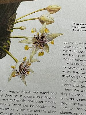Book Review - Hortus Curious by Michael Perry