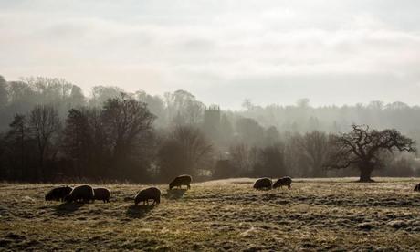 a Christmas castle, winter walks and fairytale villages