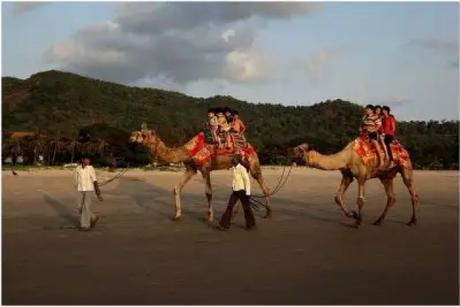 Enjoying camel ride is one of the fun activities to do in Neemrana Fort Palace