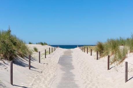 Beach holiday at the Baltic Sea?  How climate change will change your summer vacation