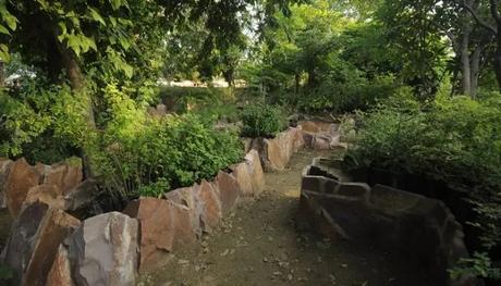A stunning view of Rao Jodha Desert Rock Park, one of the best places to visit in Jodhpur for couples
