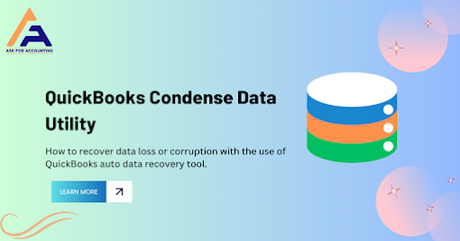QuickBooks Condense Data Utility