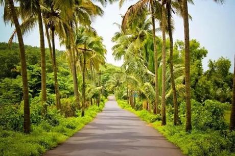 Venture Out On A Leisurely Drive in gokarna