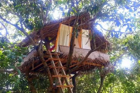 Tree House In Namaste Yoga Farm in gokarna