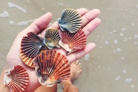 Collect Souvenirs From Half Moon Beach in gokarna