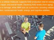 NAD. Which Supplement Boosts Cellular Health Better?