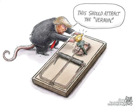 The Rat Hunting Our Democracy