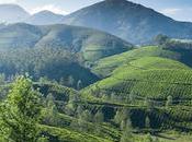 Enchanting Escapade Sikkim Honeymoon Delight