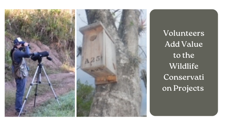 Why Volunteers Are Involved In The Wildlife Conservation Projects?