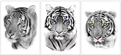 All About Tiger Tattoo Designs, Placements, and their Meanings