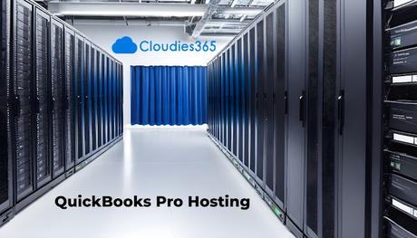 QuickBooks Pro Hosting