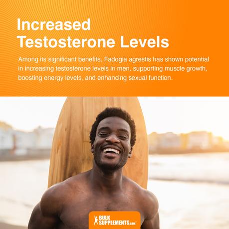 increased testosterone levels fadogia agrestis